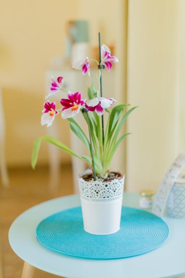 La Tour De La Conterie Bed & Breakfast Beaumont-Village ภายนอก รูปภาพ
